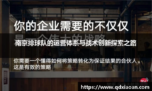 南京排球队的运营体系与战术创新探索之路