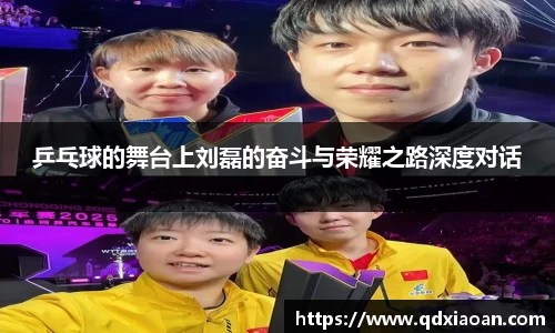 乒乓球的舞台上刘磊的奋斗与荣耀之路深度对话
